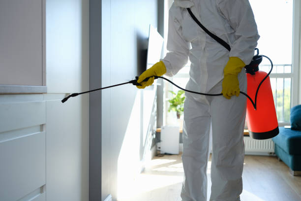 Best Commercial Mold Removal  in Earlham, IA