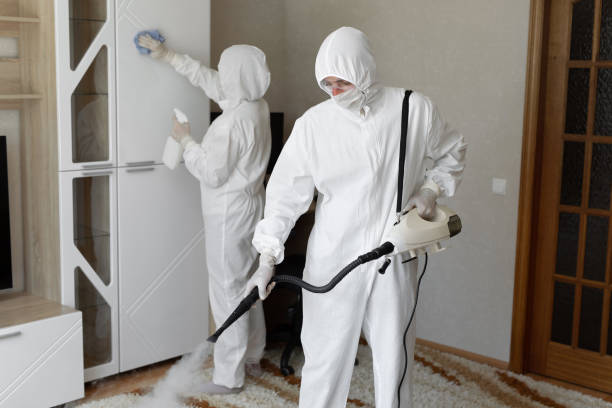 Certified Mold Removal in Earlham, IA