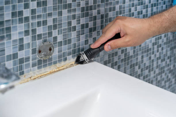 Best Emergency Mold Removal  in Earlham, IA